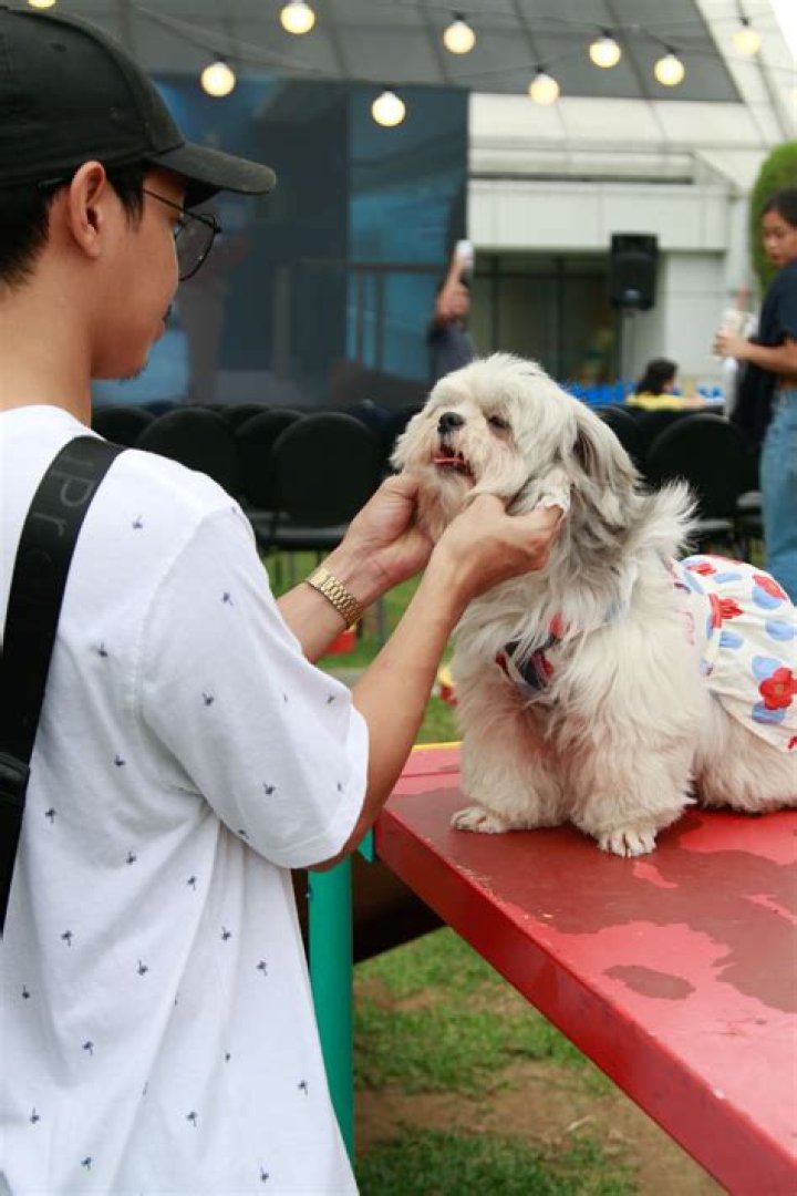 A Haven For Pet Lovers