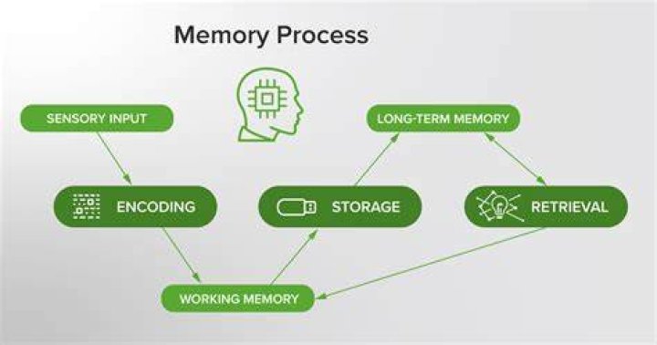 A Journey Into Memory, History, And Emotion