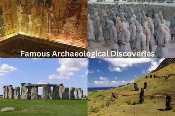 Discoveries And Insights From Lucas Zwriner