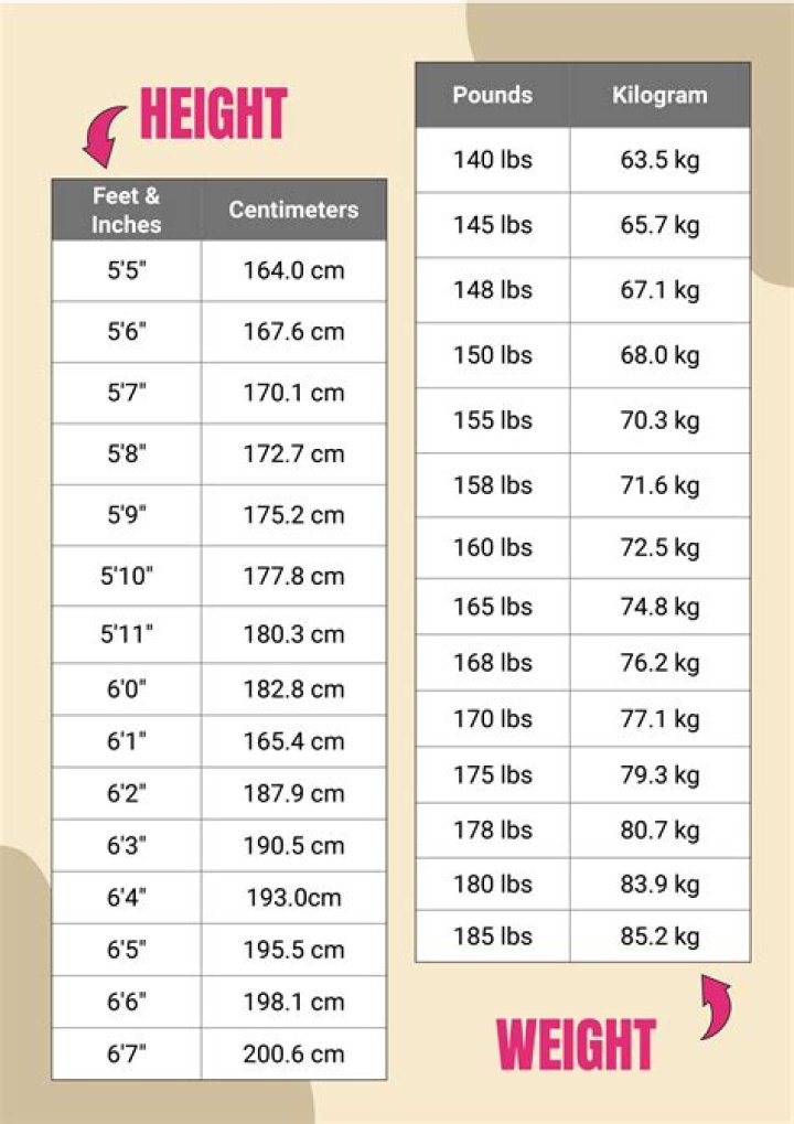 Height, Weight, And Measurements Explained