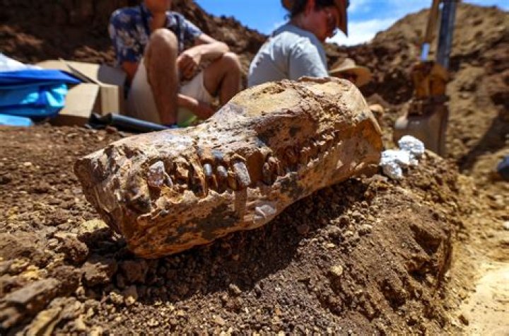 Uncover Hidden Gems And Discoveries